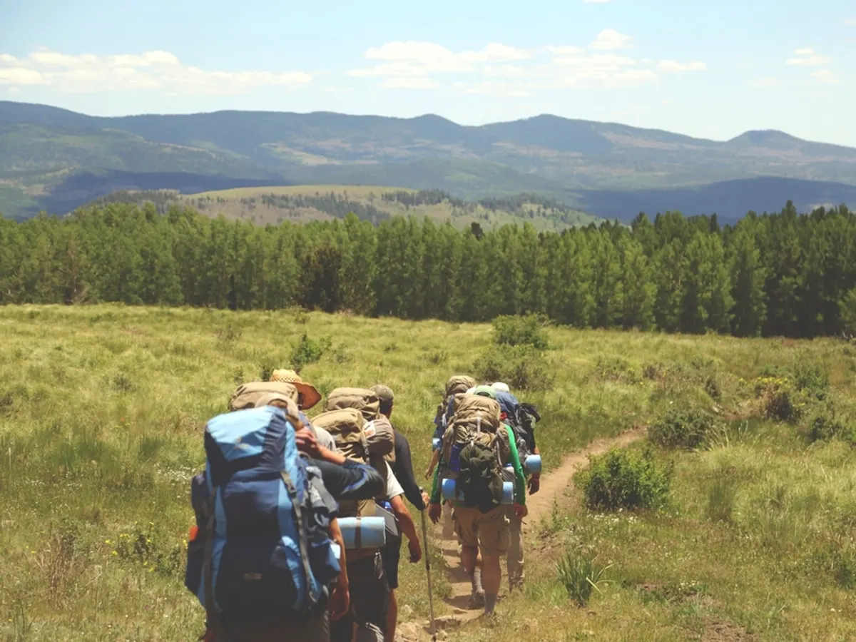 group hikers heavy backpacks walking